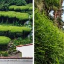 외도조경식물원 이미지