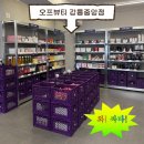 뷰티 앤 도그쇼 | 화장품계의 다이소, 창고형 뷰티 아울렛 오프뷰티 강릉중앙점 후기