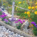 대발농장 이미지