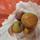 올리고 365 상생점포 | 감홍사과 요거트볼로 즐기는 문경 사과의 향, 아침 사과효능까지 담았어요