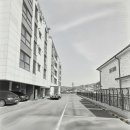 양수 하나로 약국 이미지