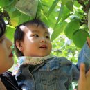 승민농장 이미지