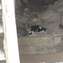 대도세탁소 이미지