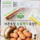 홍주농장 | 알찬마켓바른생알 | 난각번호 2번 동물복지 유정란 20구 신선하고 맛있네