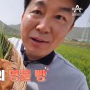 신라명가 이미지