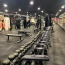 그룹집중 다이어트요가 이미지