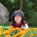 한국문학예술협회 시낭송 이미지