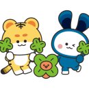 엔도메디 이미지