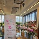 죽전화훼 이미지