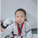 기품태권도장 이미지