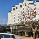 퀸PC | 속초 켄싱턴호텔 설악 설악산 뷰 조식 주차 객실 흡연실