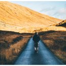 모아행정사사무소 이미지