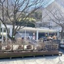 카페 모차르트 502