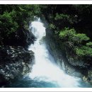 계곡풍경 이미지