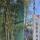 밀숲(과천점) 이미지