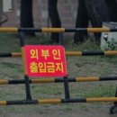 유토피아2 이미지