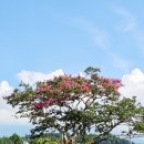 서귀포시 보훈회관 이미지