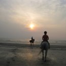 명사십리축산 이미지