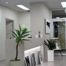 대게샵 점 이미지