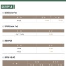 라헨느리조트(주) 이미지