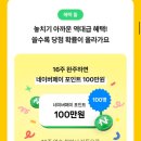 리틀컬쳐