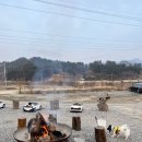 도그랜드 이미지