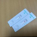 논현우리한의원 | 인천 와이산후조리원 논현점 9박 10일 :: VVIP룸, 디럭스룸 후기