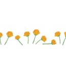 대추농장 이미지