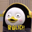 더감성 이미지