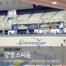 광명 스피돔 | 광명 아이와 스피돔 실내 무료 어린이 프로그램 후기