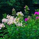 여기,초록 이미지