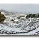 천보다원 이미지