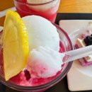 학성공원1 화장실 | 파스쿠찌 카페 여름 2025 신메뉴 그라니따 베리베리 요거트 케이크 내돈내산 솔직 후기 리뷰