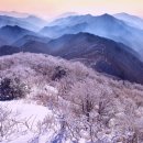 마지막 눈꽃 구경하러 떠나요... 2월 막바지 국내 겨울 여행 명소 이미지