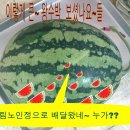 왕거경로당 Daum카페