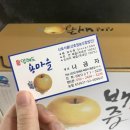 압해도용마을 이미지