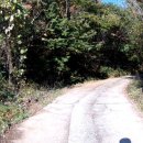 영신자전거 이미지