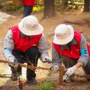 그린쇼핑 이미지