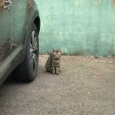 비사벌목욕탕 이미지