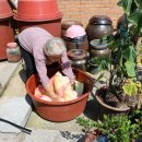 곡성빨래방 이미지