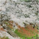 송촌생활체육공원 테니스장