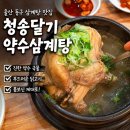 청송달기약수삼계탕 | 울산 동구 삼계탕 맛집 청송달기약수삼계탕 몸보신 제대로 한 후기 초복