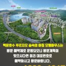 숲속의 아침 이미지