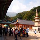 전하초등학교 이미지