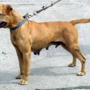 메이데이 이미지