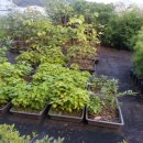 영림목장 이미지