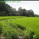 북삼초등학교 오평분교장 이미지