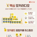 모카시아 이미지