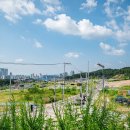 신탄진동 등산로 네이버블로그