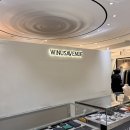 막스마라AK분당 | 분당 서현 ak플라자 위너스애비뉴 WINUSAVENUE 명품 편집샵 :: 몽클레어 남성 패딩 & 조끼 구매 후기